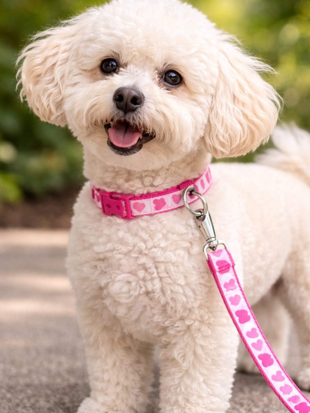 Simply Dog Pink Small Heart Collar and Leash Set
